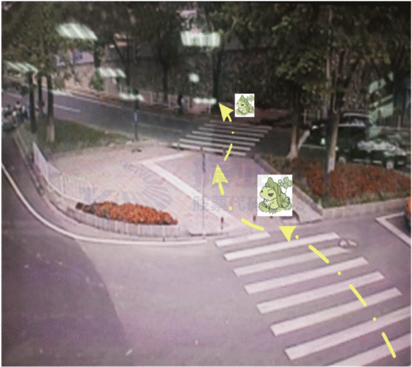 圖8 優(yōu)化后東進口行人過街示意圖