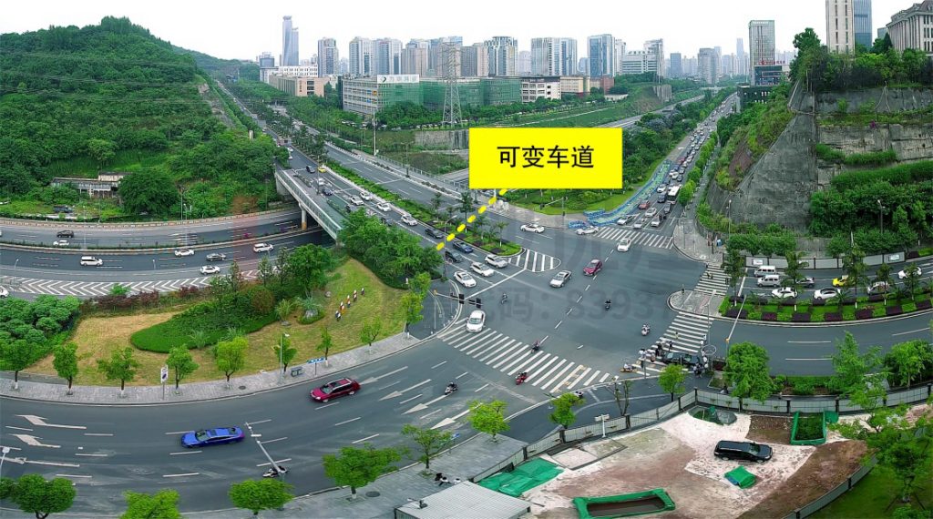 金開大道箭竹路